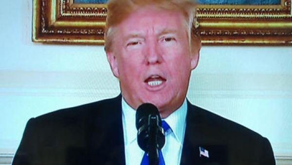 ترامپ: به فرماندار کالیفرنیا گفته بودم چوب‌های خشک را جمع کند تا آتش‌سوزی نشود!